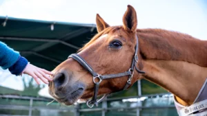 Residential treatment in Massachusetts