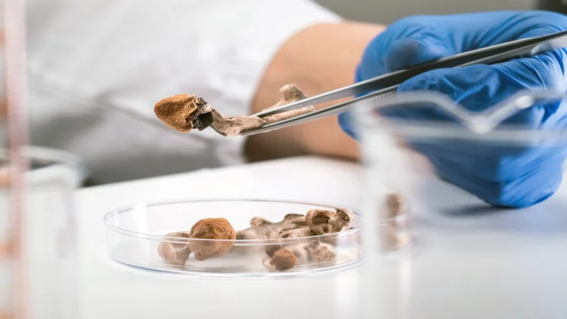 psilocybin depression treatment
