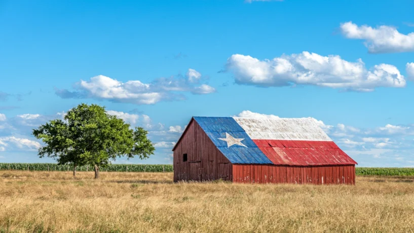Texas county mental health facilities