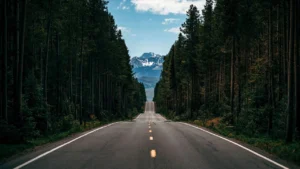 Wyoming suicide rate