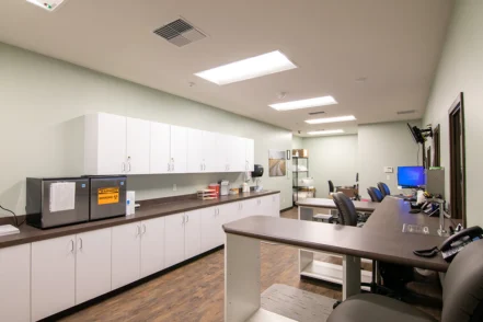 Interior clinical laboratory with white cabinetry, dark countertops, equipment, and professional workstations