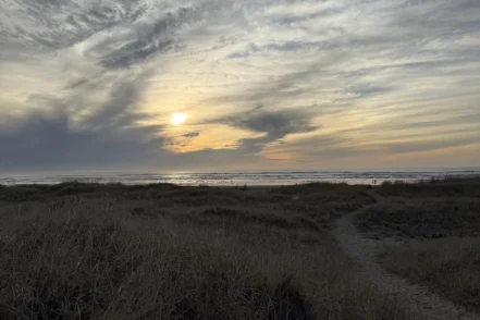 Exterior coastal landscape showing beach dunes with native grasses, sandy pathways, and ocean horizon