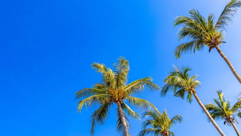 florida mental health treatment