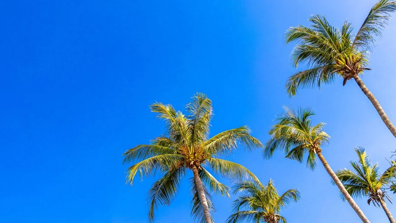 florida mental health treatment