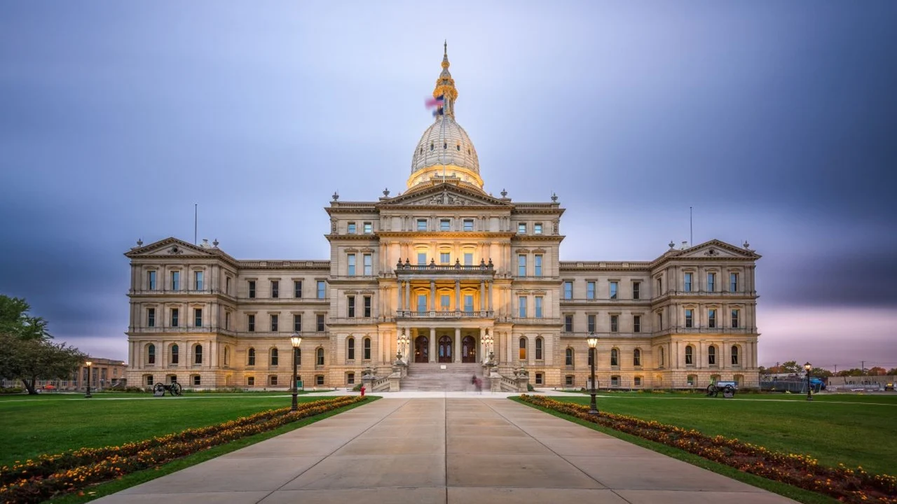 michigan mental health treatment schools