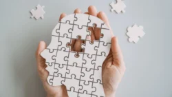 new york mental health treatment roadmap
