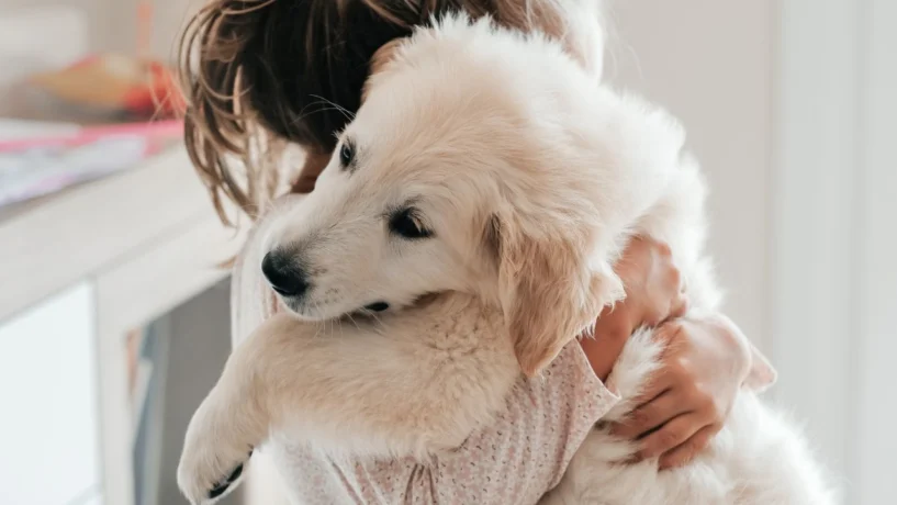therapy dogs missouri schools