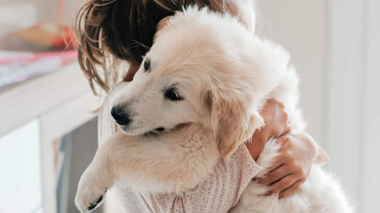 therapy dogs missouri schools