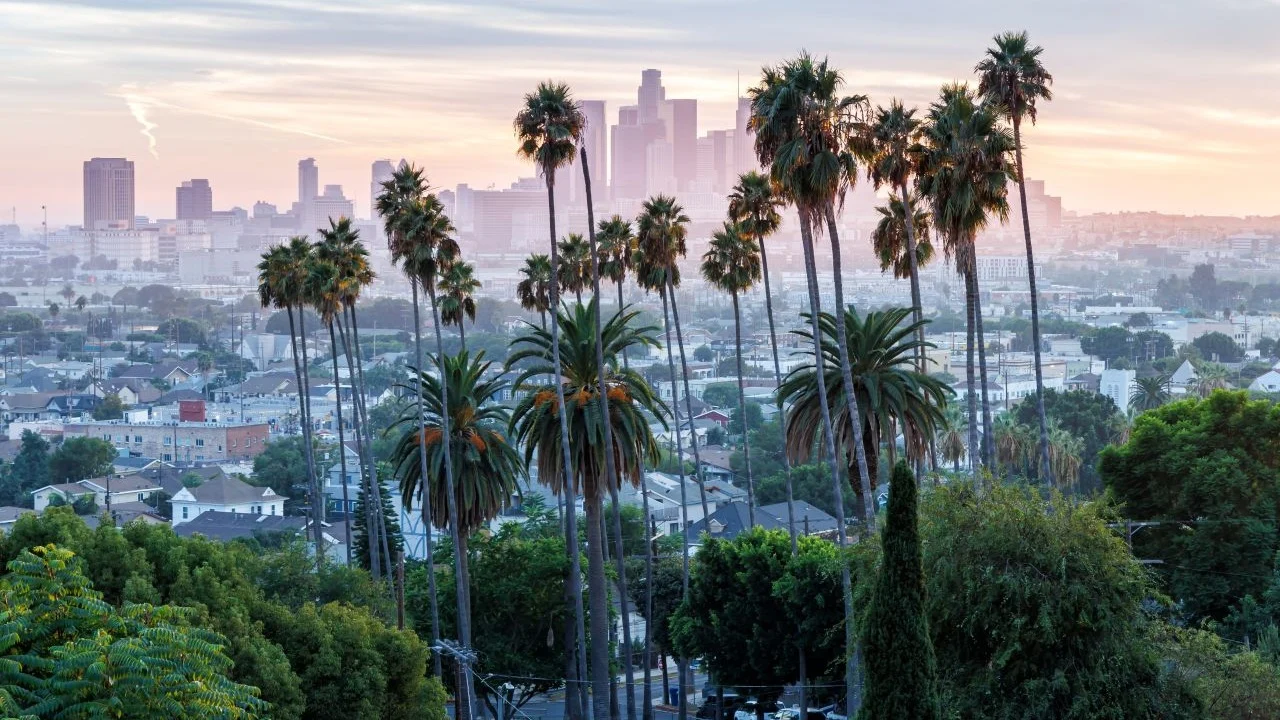 los angeles county cychlorphine death
